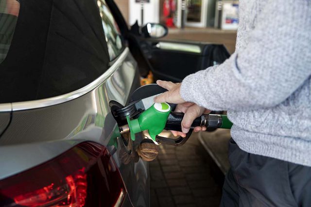 gasolina