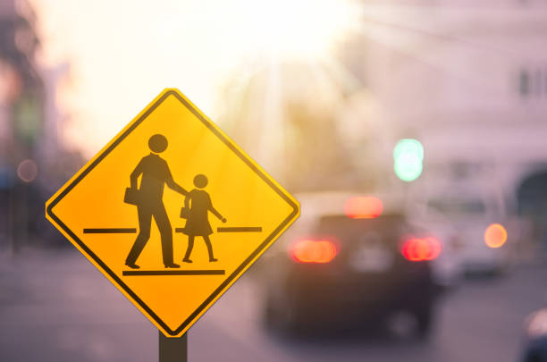 Seguridad vial
